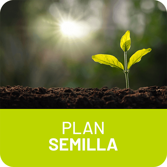 PLAN SEMILLA