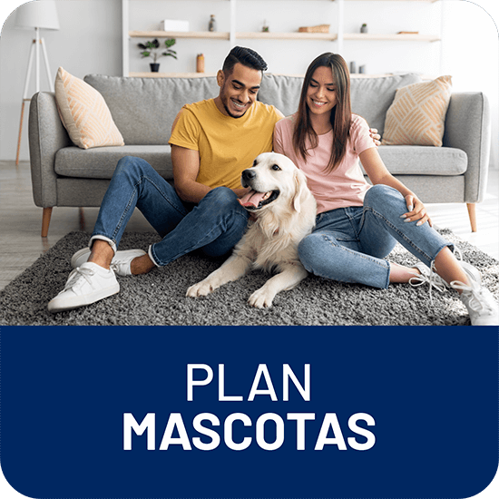 PLAN MASCOTAS